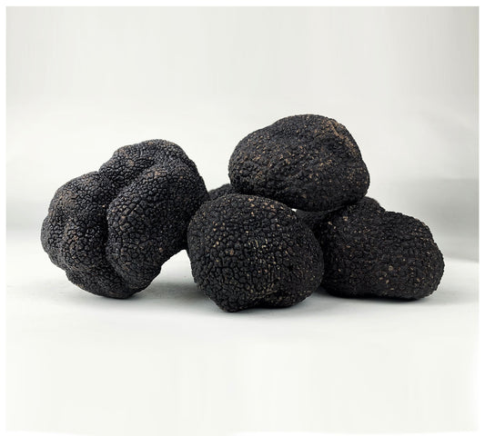 How to Care for and Store Fresh Truffles - Angel's Salumi & Truffles