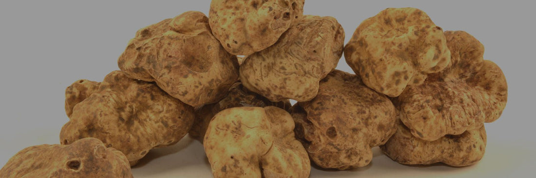 Why Are Truffles So Expensive? - Angel's Salumi & Truffles