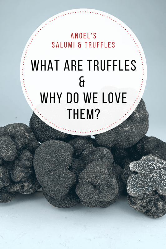 What Are Truffles and Why Do We Love Them? - Angel's Salumi & Truffles