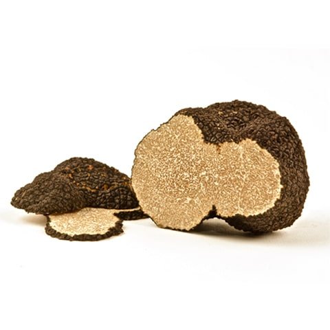 Fresh Burgundy Truffle - Angel's Salumi & Truffles